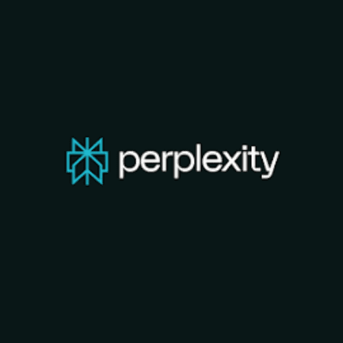 Perplexity